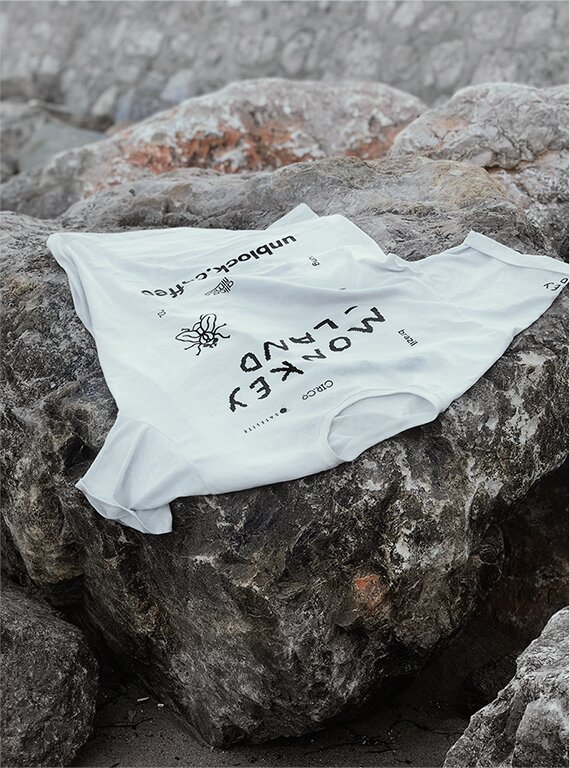 Camiseta na pedra